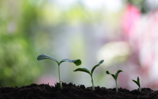 We Love Gardening!