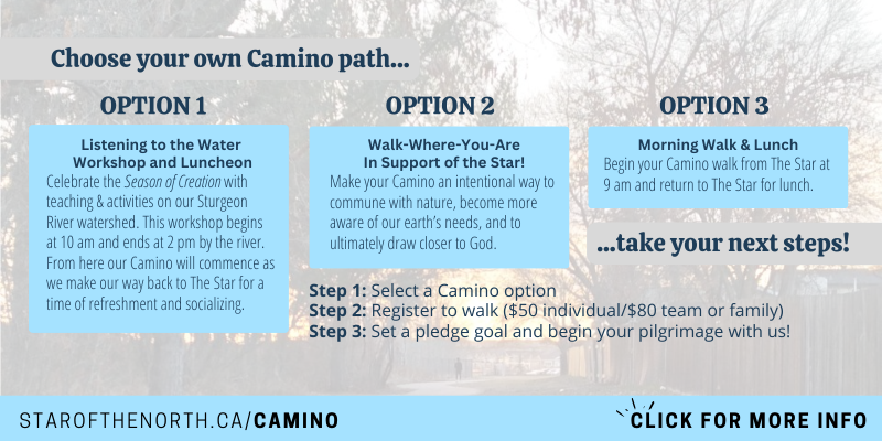 Chose a Camino Path